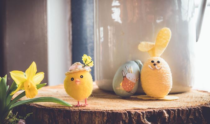 Easter Bunny Approved Events and Experiences