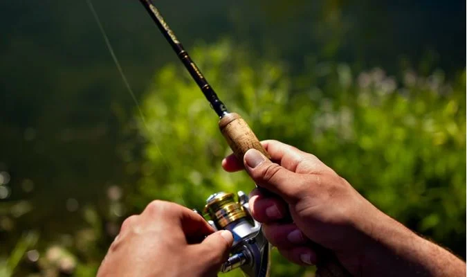 Lake Sonoma Steelhead Festival Image