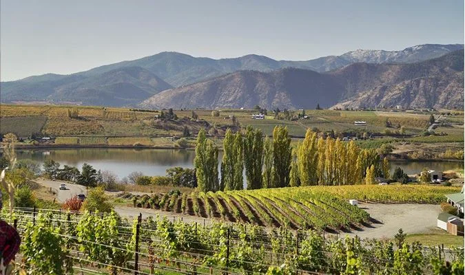 Top 10 Best Wineries & Tasting Rooms in Chelan Wine Country