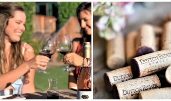 Dutton Estate Winery Grown-Ups Summer Camp