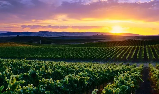 All The Things You Need to Know Before You Go To Sonoma Wine Country Image