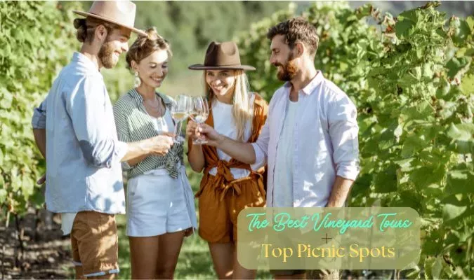 The Best Vineyard hikes, Tours and Top Picnic Destinations Image