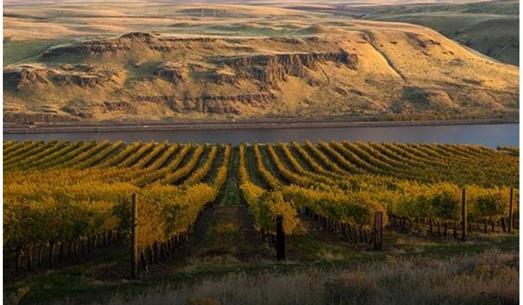 Discover the Majestic Snake River Valley Wine Region Discover the Majestic Snake River Valley Wine Region