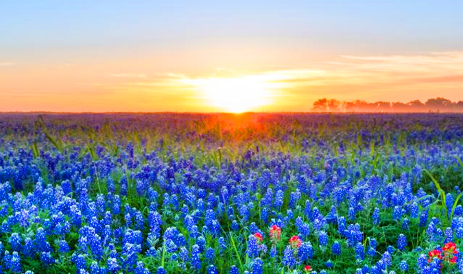 5 Reasons to Visit Texas Hill Country