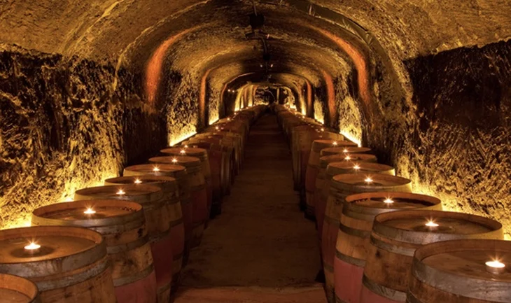 Del Dotto Vineyards & Wine Caves