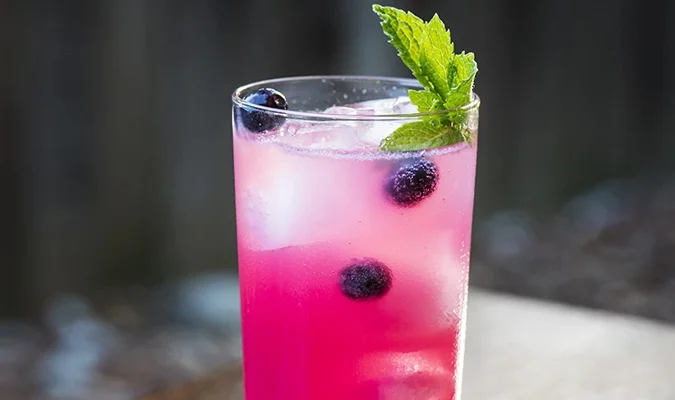 Ginny's Gin Blueberry Tom Collins Image