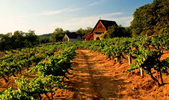 Best 10 Sonoma Wineries To Visit