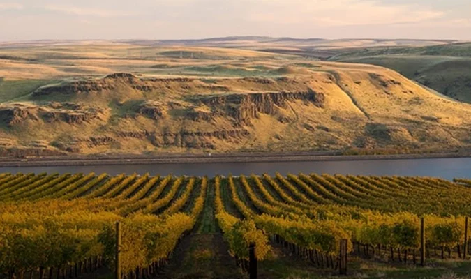 Discover the Majestic Snake River Valley Wine Region Image