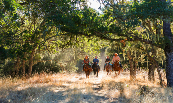 Horseback Riding at Cass Winery