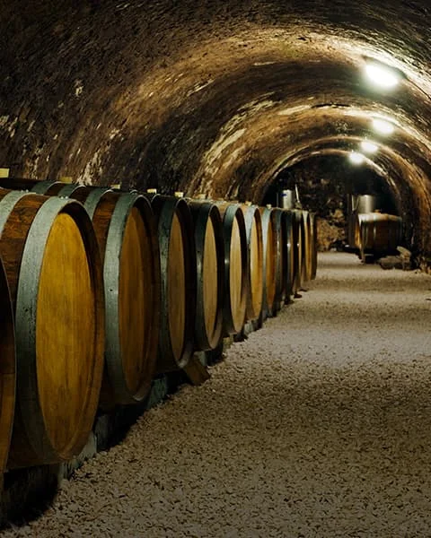 Best Napa Valley Cave Tours