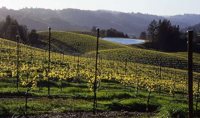 Make Reservations At Fort Ross Vineyard Tasting Room In