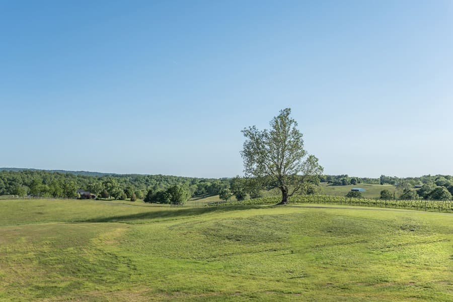 Book A Tour Tasting For Greenhill Winery Vineyards On Cellarpass Book A Tour Tasting For Greenhill Winery Vineyards On Cellarpass