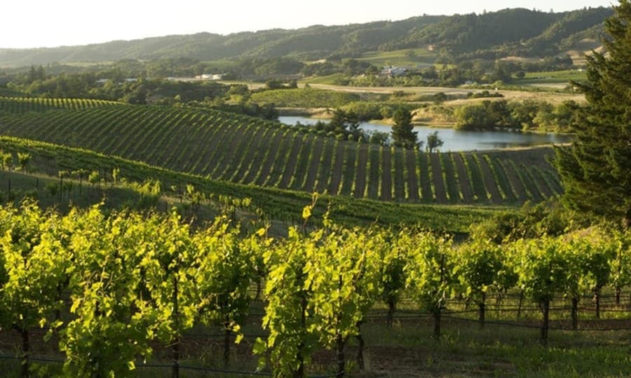 Buy tickets to special events hosted by Ridge Vineyards Lytton Springs