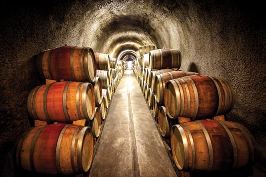 Make Reservations at Fritz Underground Winery in Sonoma County on