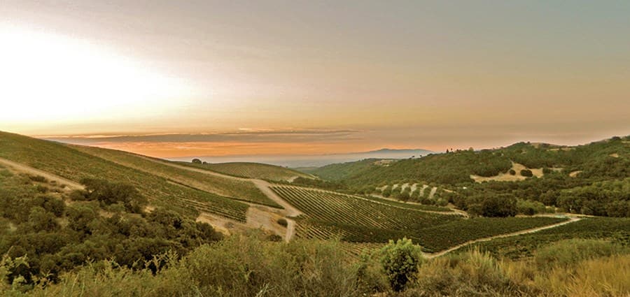 Make Reservations at Adelaida Vineyards & Winery in Central Coast on ...