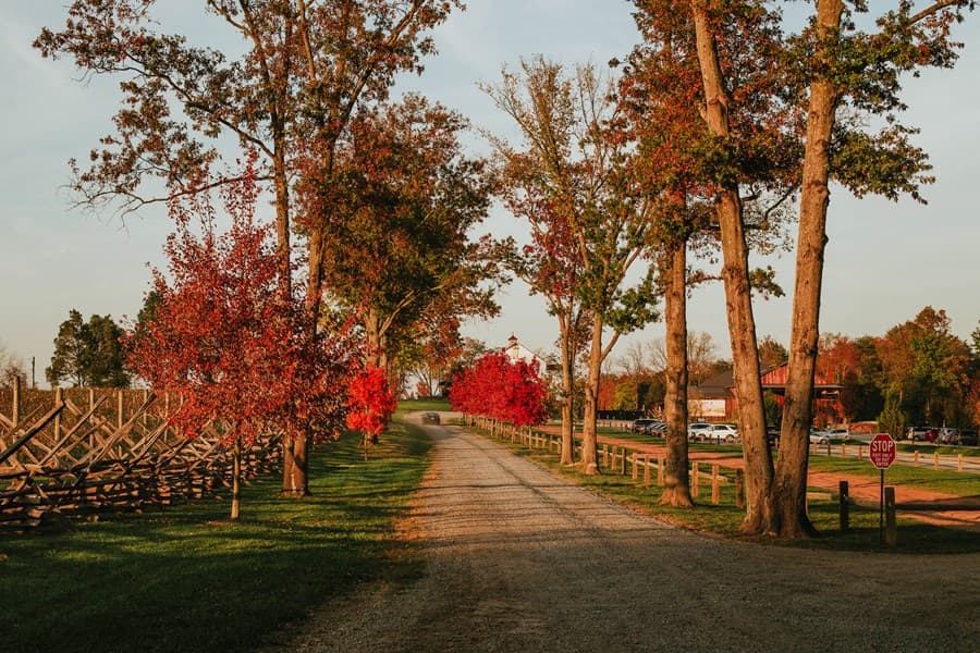 Make Reservations At The Winery At Bull Run In Virginia On CellarPass   7401 Gallery 01 Lg 