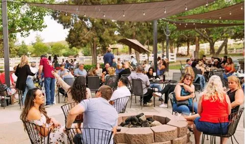 Book a Tour & Tasting for Longshadow Ranch Winery on CellarPass