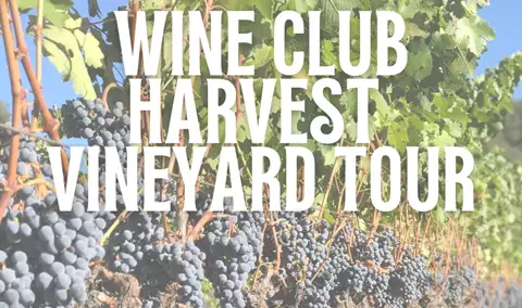 Wine Club Harvest Vineyard Tour