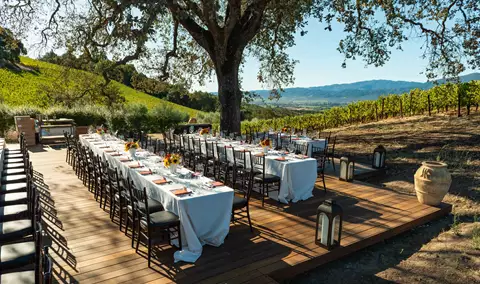 Spring Feast & Wine at the Profile Estate Img