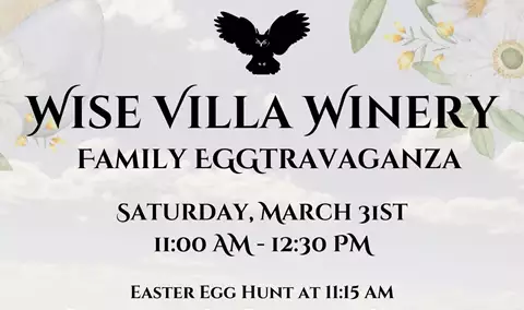 Wise Villa Family Eggstravaganza