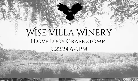 I Love Lucy Grape Stomp Img