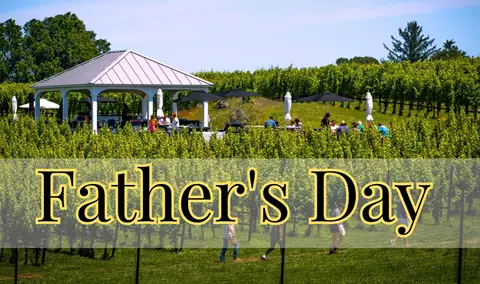 Father's Day BBQ in the Vineyard / Live Music by Rook Richards
