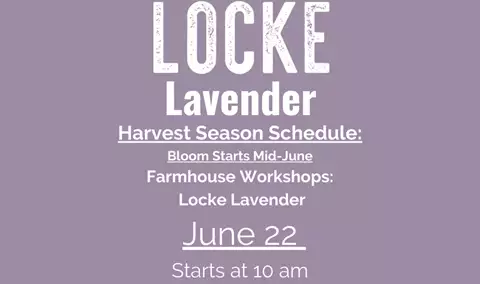 Locke Lavender Workshop (Saturday, 6/22)