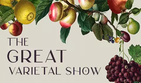 The Great Varietal Show 2024 Img