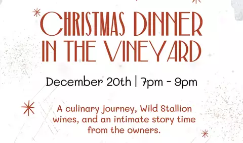 Christmas Dinner in the Vineyard