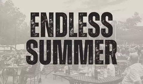 Endless Summer - Beach Boys Tribute Img