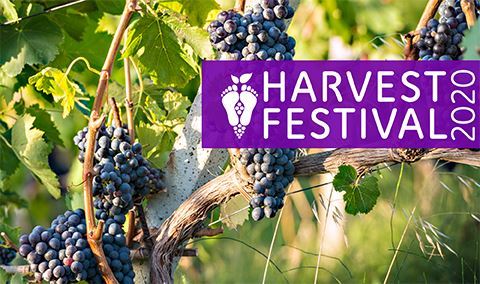 Harvest Festival: Sunset Harvest Img