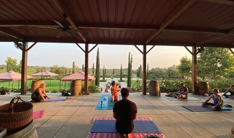 Yoga in the Vines with COIL Yoga