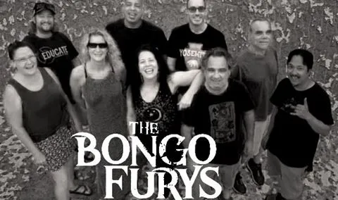 Helwig@Dusk presents The Bongo Furys