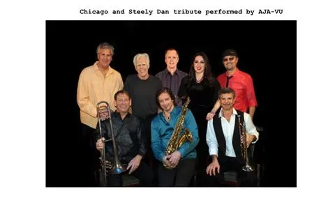 VEZERSTOCK Wine & Live Music Series - Chicago and Steely Dan tribute