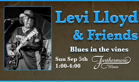 Blues in the Vines : Levi Lloyd & Friends