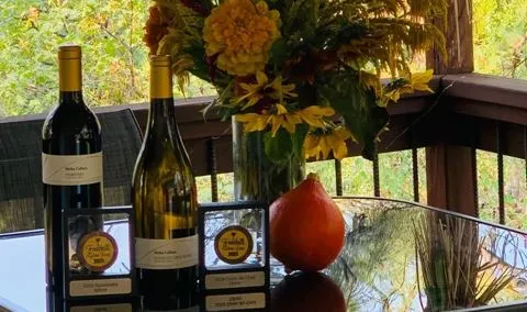 Pumpkin Decorating and Wine Club Release Celebration
