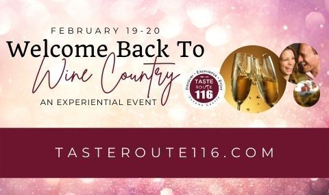 Welcome Back to Wine Country - An Experiential Event