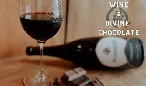 Minds of Modales: Wine & Divine Chocolate