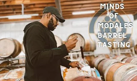 Minds of Modales: Barrel Tasting
