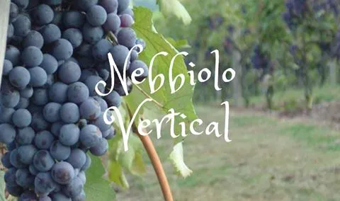 Nebbiolo Vertical