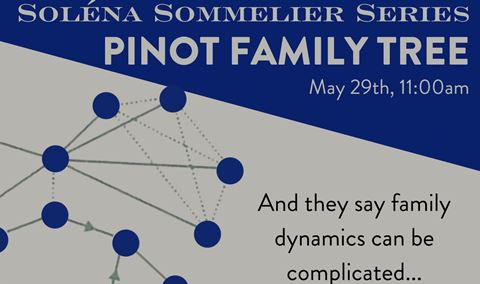 Soléna Sommelier Series – Pinot Family Tree Img
