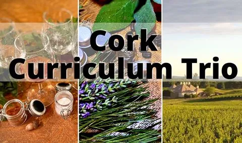 Cork Curriculum Wine Education - Class Trio
