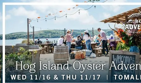 Hog Island Oyster Adventure 11-16