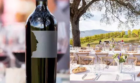 The Height of Luxury: Profile Collection Release & Brunch in the Vineyards Img